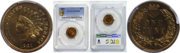 1881.  Indian Head Cent.  -  PCGS. PR-66. RB.