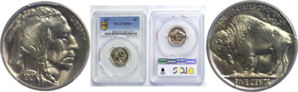 1927.  Buffalo Nickel.  -  PCGS. MS-66+.