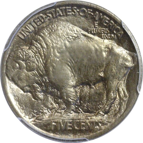 1913 T-1.  Buffalo Nickel.  -  PCGS. MS-66. - Image 3