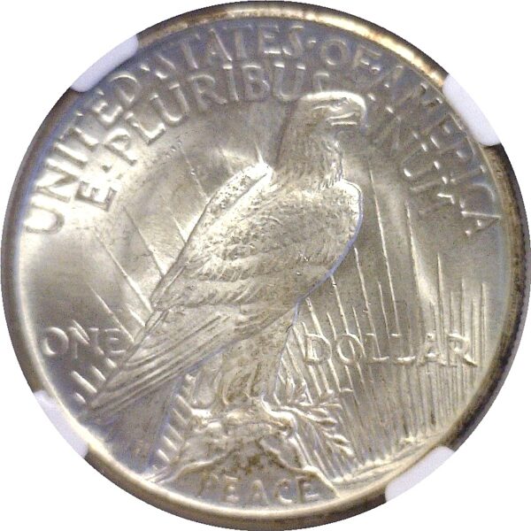 1921  Peace Dollar.  -  NGC MS-64+. - Image 3