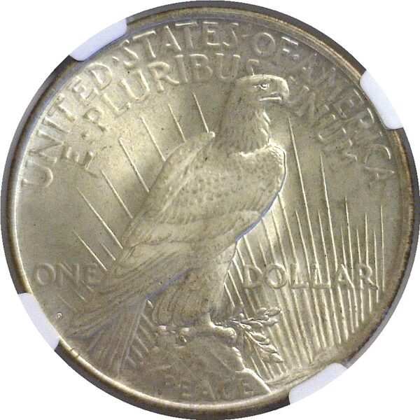 1927-D.  Peace Dollar.  -  NGC. MS-64+. - Image 3