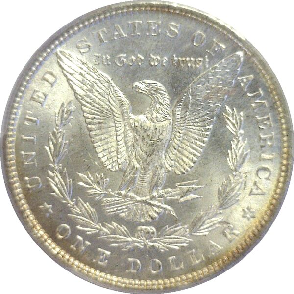 1880.  Morgan Dollar.  -  PCGS. MS-66. - Image 3