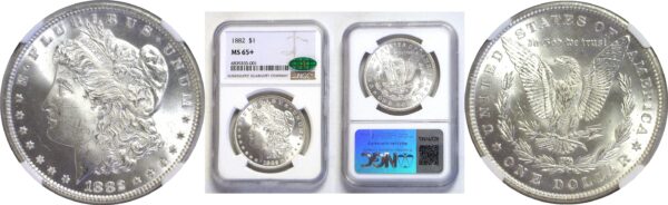 1882.  Morgan Dollar.  -  NGC. MS-65+. CAC