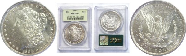 1899.  Morgan Dollar.  -  PCGS. MS-63. DMPL.