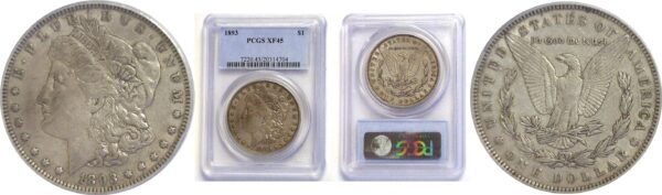 1893.  Morgan Dollar.  -  PCGS. XF-45.