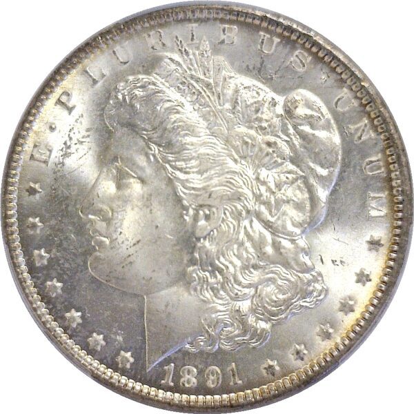 1891-CC Morgan Dollar.  -  PCGS MS-64 - Image 2
