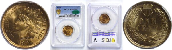 1899.  Indian Head Cent.  -  PCGS. MS-65. RD. CAC