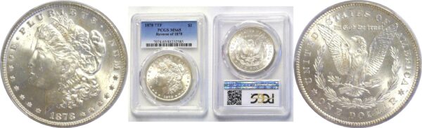 1878-7TF.  Morgan Dollar.  -  PCGS. MS-65.