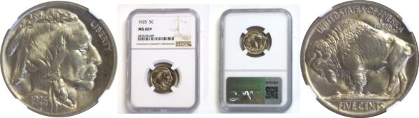 1925 Buffalo Nickel - NGC MS-66+