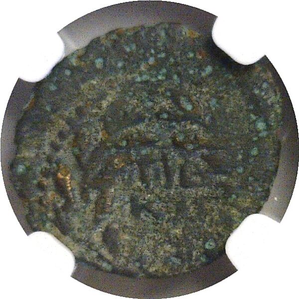 15-26 AD.  ROMAN. Bronze Prutah. NGC. Valerius Gratus. - Image 3