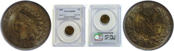 1893 Indian Head Cent. -  PCGS MS-65 BN