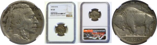 1919-D Buffalo Nickel  -  NGC VF-20