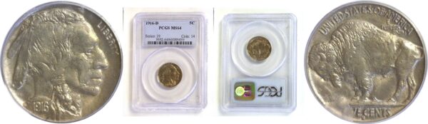 1916-D Buffalo Nickel   -   PCGS MS-64