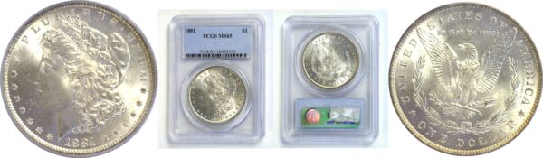 1881  Morgan Dollar   -   PCGS MS-65