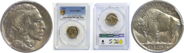 1914 Buffalo Nickel   -   PCGS PR-66