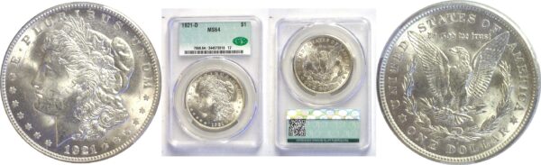 1921-D.  Morgan Dollar.  -  CACG. MS-64.