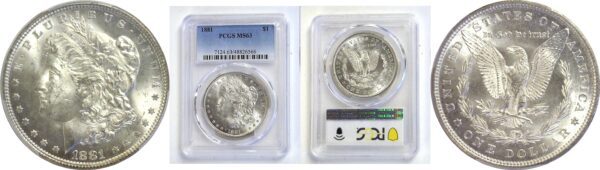1881 Morgan Dollar  -  PCGS MS-63