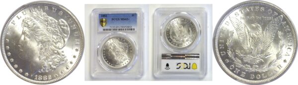 1882 Morgan Dollar. -  PCGS MS-65+