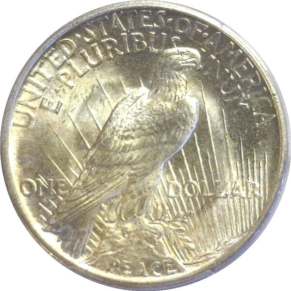 1921.  Peace Dollar. PCGS. MS-64. - Image 3