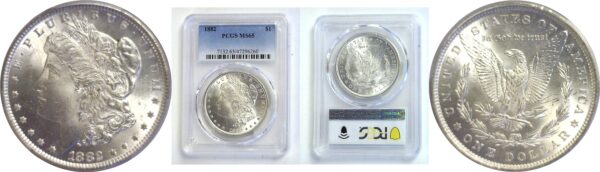 1882 Morgan Dollar -   PCGS MS-65