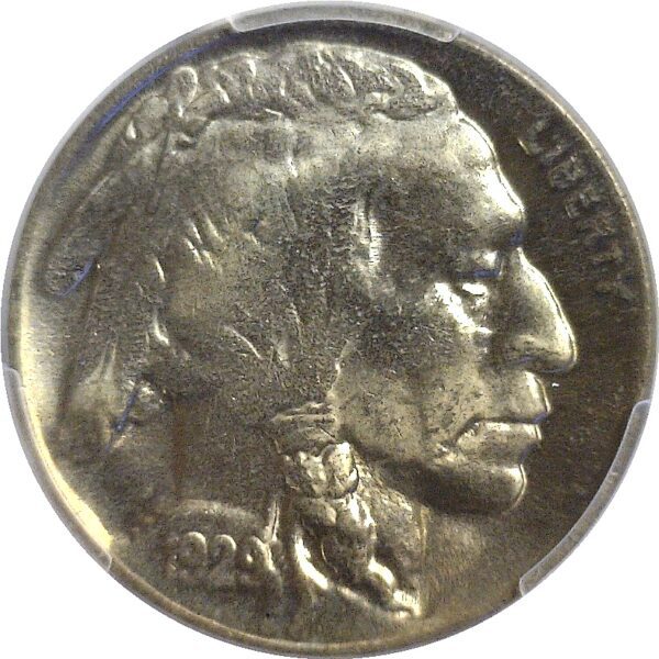 1929-D Buffalo Nickel   -   PCGS MS-64 - Image 2