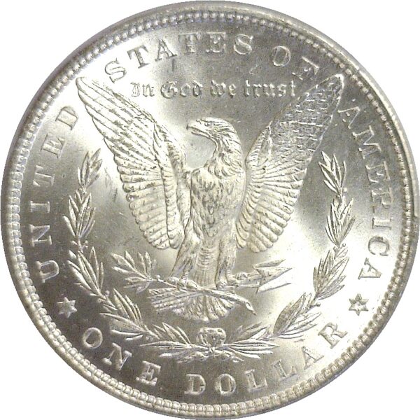 1882 Morgan Dollar  -  PCGS MS-66 - Image 3