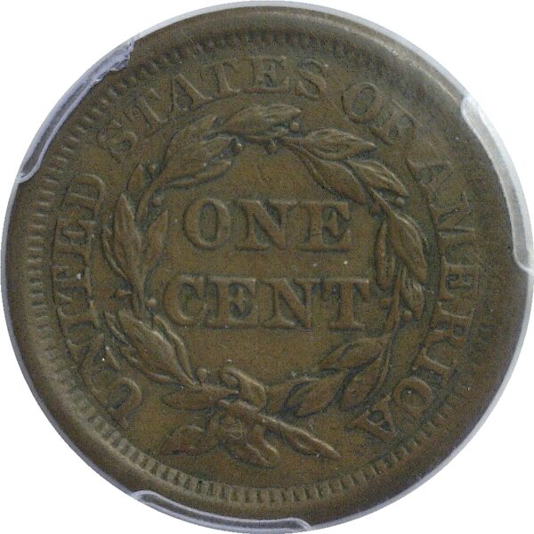 1855 Large Cent. Knob on Ear.  -  PCGS AU-55 - Image 3