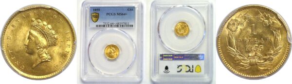 1855.  One Dollar Gold Coin.  -  PCGS. MS-64+.