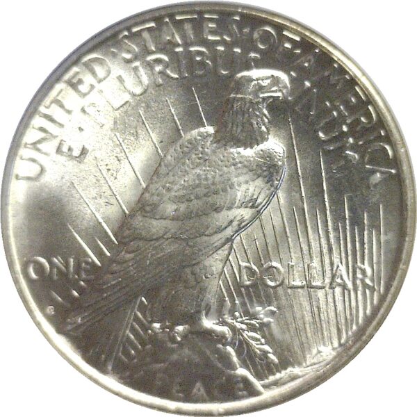 1926-D Peace Dollar  -  NGC MS-64 - Image 3