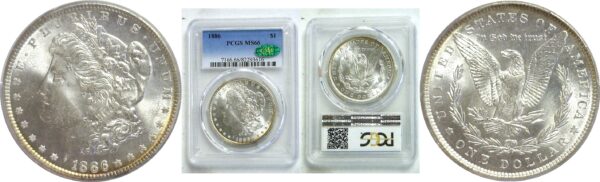 1886 Morgan Dollar  -  PCGS MS-66  CAC