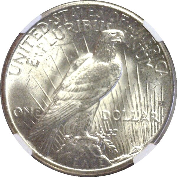 1928 Peace Dollar  -  NGC MS-63 - Image 3