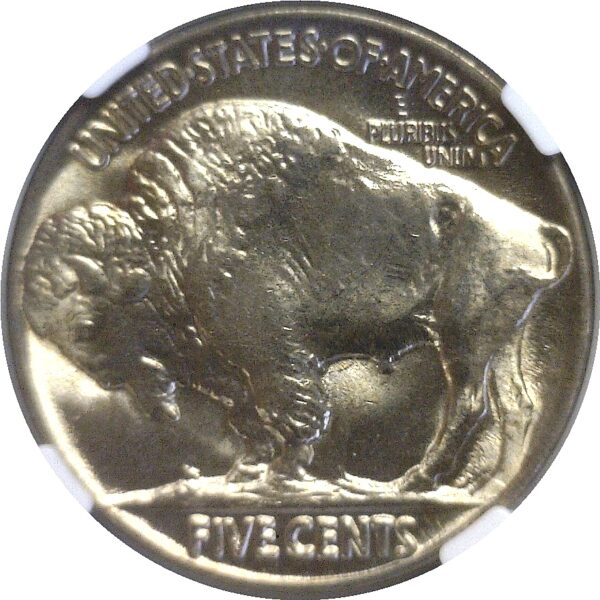 1934 Buffalo Nickel  -  NGC MS-66+ - Image 3