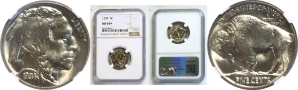 1934 Buffalo Nickel  -  NGC MS-66+