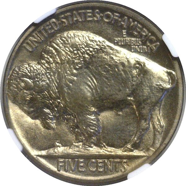 1913 T-2 Buffalo Nickel. -  NGC PR-67 - Image 3