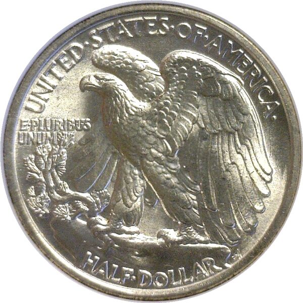 1934 Walking Liberty Half Dollar  -  NGC MS-65 - Image 3