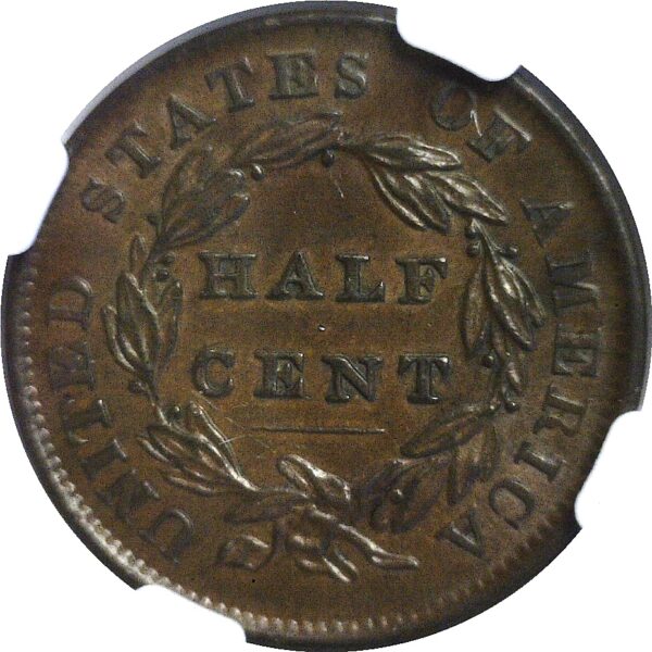 1835 Half Cent.  -   NGC AU-58 - Image 3