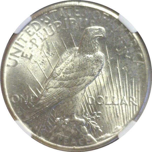 1928 Peace Dollar  -  NGC MS-62 - Image 3