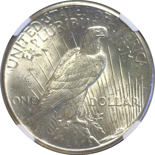 1928 Peace Dollar  -  NGC MS-63 - Image 3