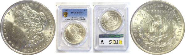 1902 Morgan Dollar  -  PCGS MS-66+