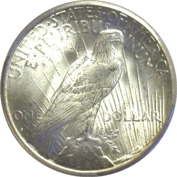 1925-S Peace Dollar  -  PCGS MS-63 - Image 3