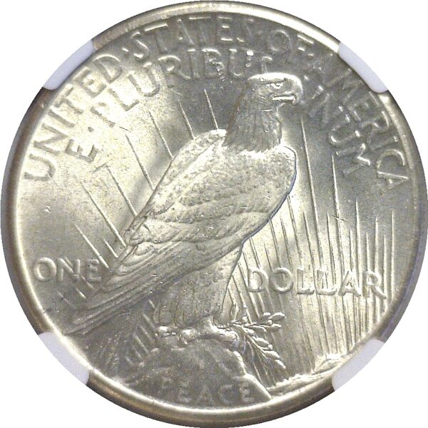 1928 Peace Dollar  -  NGC MS-63 - Image 3