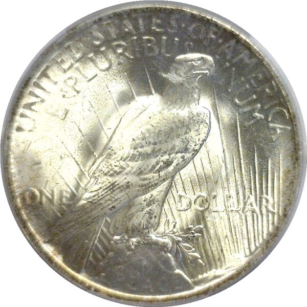 1922 Peace Dollar  -  PCGS MS-66 - Image 3