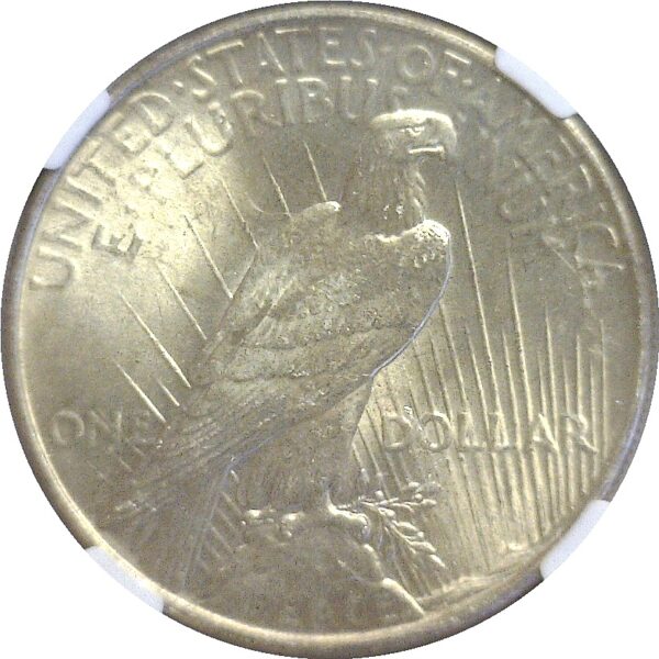 1934 Peace Dollar  -  NGC MS-63 - Image 3