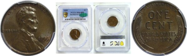 1955 Doubled Die Obverse. Lincoln Cent. -  PCGS MS-64 BN. CAC