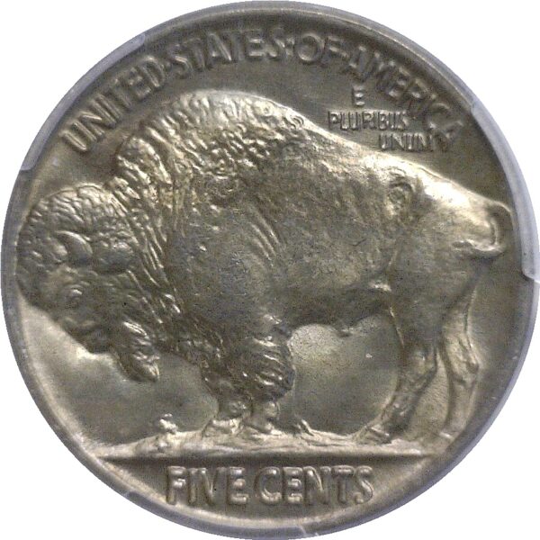 1923 Buffalo Nickel  -  PCGS MS-66 - Image 3