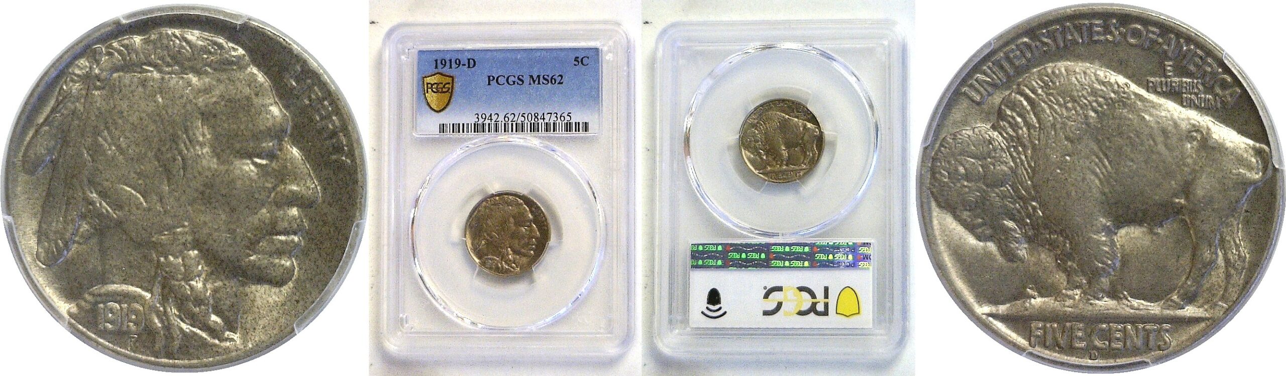 1919-D Buffalo Nickel    PCGS MS-62