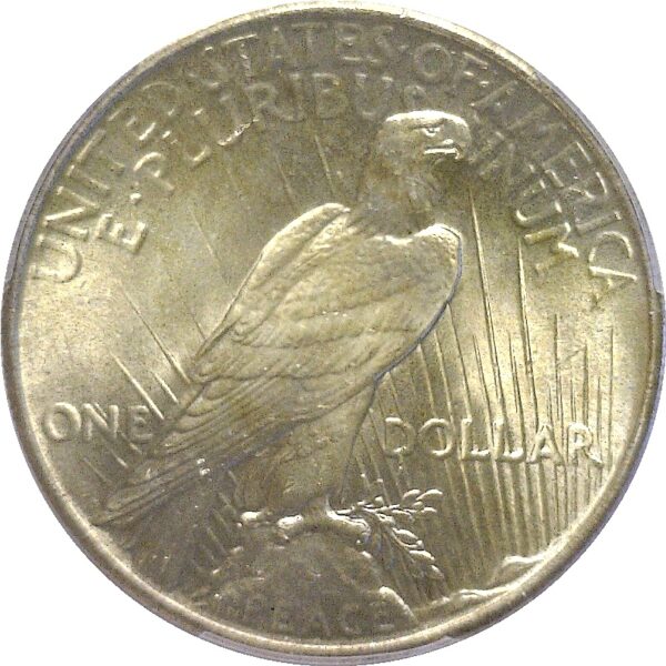 1925 Peace Dollar  -  PCGS MS-67 - Image 3