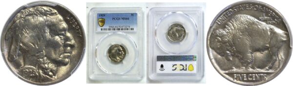 1929 Buffalo Nickel  -  PCGS MS-66