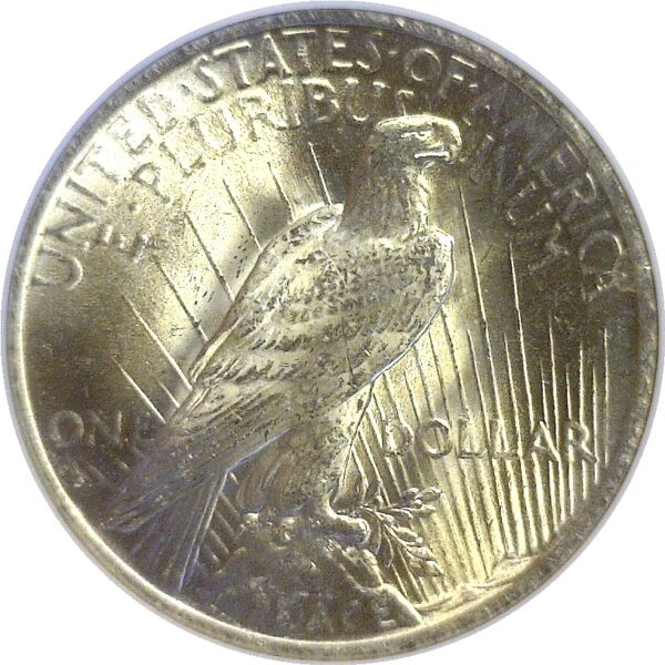 1923 Peace Dollar  -  NGC MS-63 - Image 3