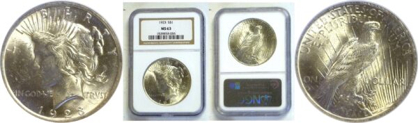 1923 Peace Dollar  -  NGC MS-63